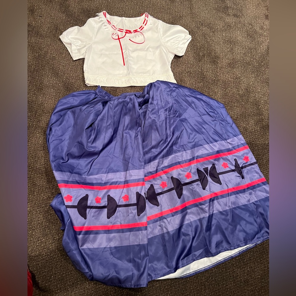 Encanto Louisa costume